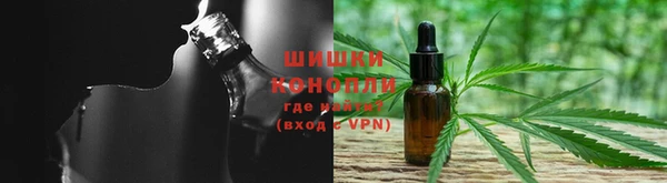 ПСИЛОЦИБИНОВЫЕ ГРИБЫ Алзамай