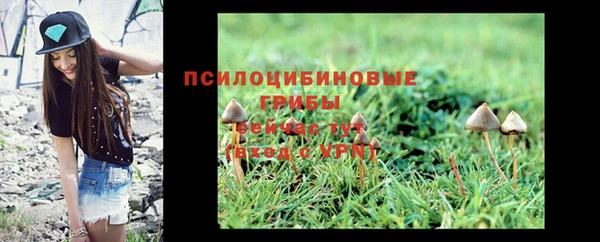 ПСИЛОЦИБИНОВЫЕ ГРИБЫ Алзамай